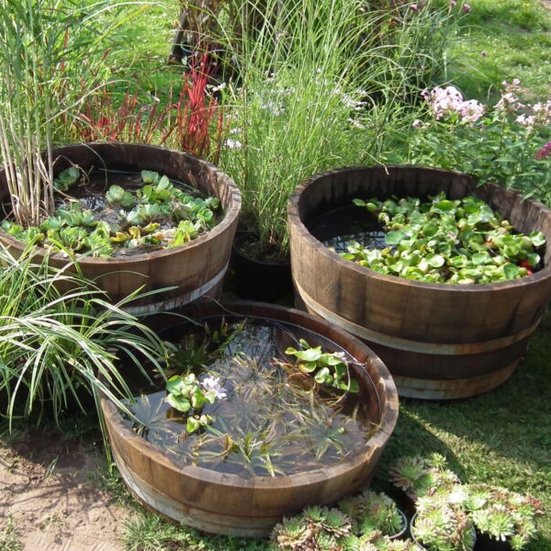 Produktkategorie | Deko-Weinfässer als Wasserspiel mit Pflanzen